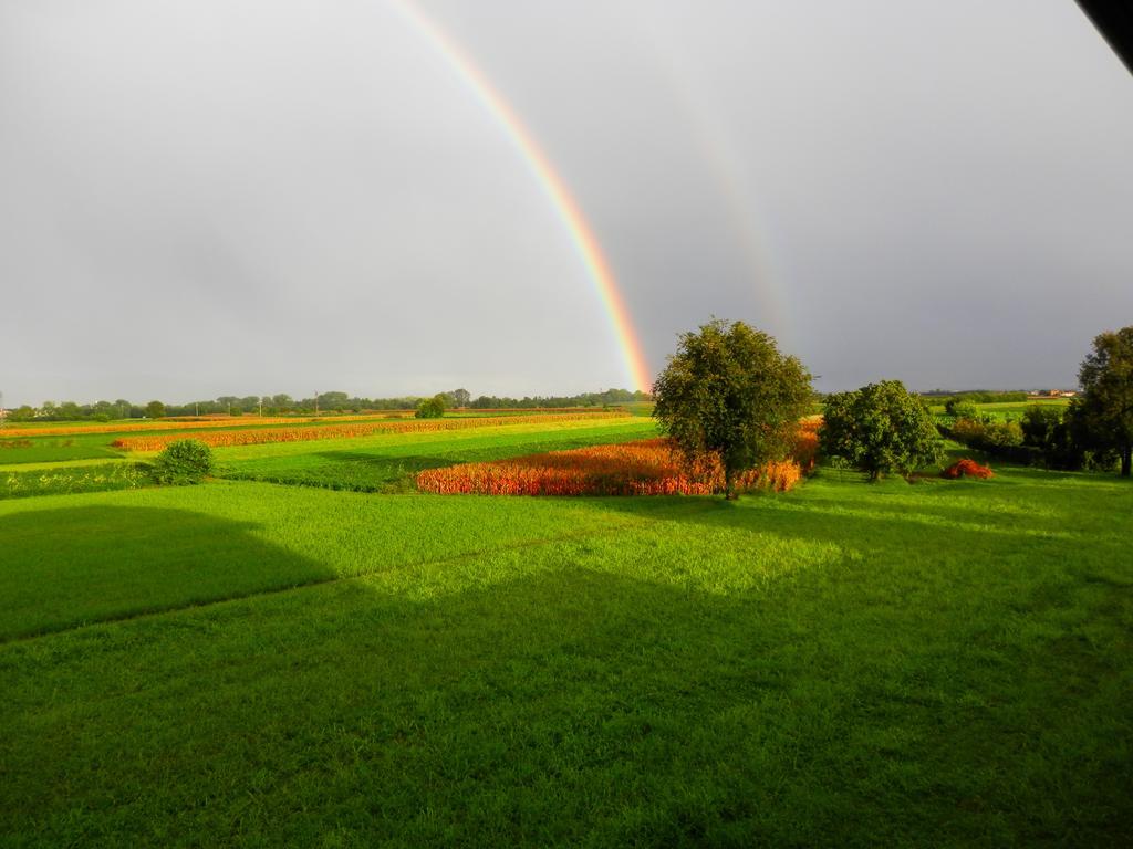 Agriturismo Cjargnei Povoletto Dış mekan fotoğraf